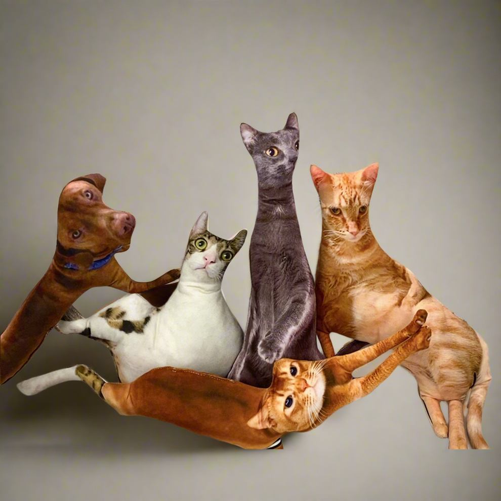 Custom Pet Pillow
