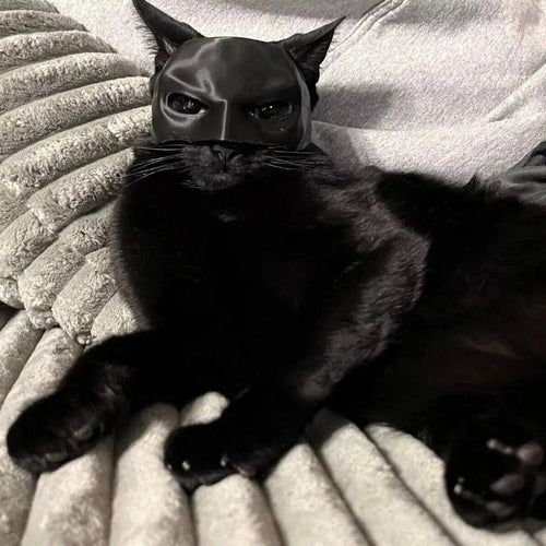BatCat-Batman Mask For Cats